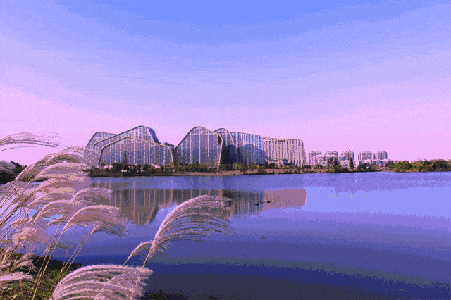 52d6617f7e235000c08e1f58d4c2936c.gif